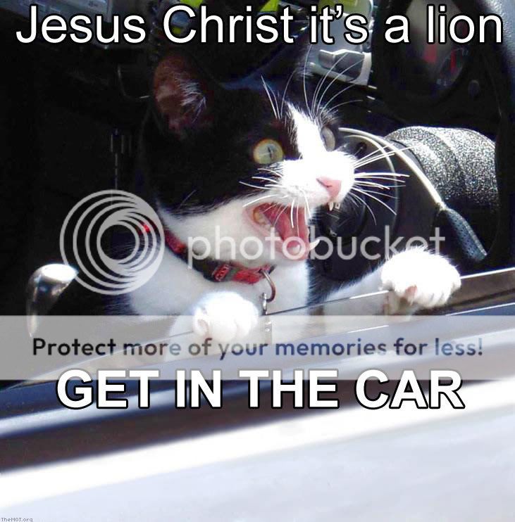 Jesus_Christ_its_a_lion_Get_In_The_.jpg