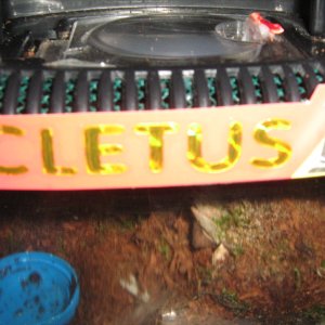 nameplate of cletus 2