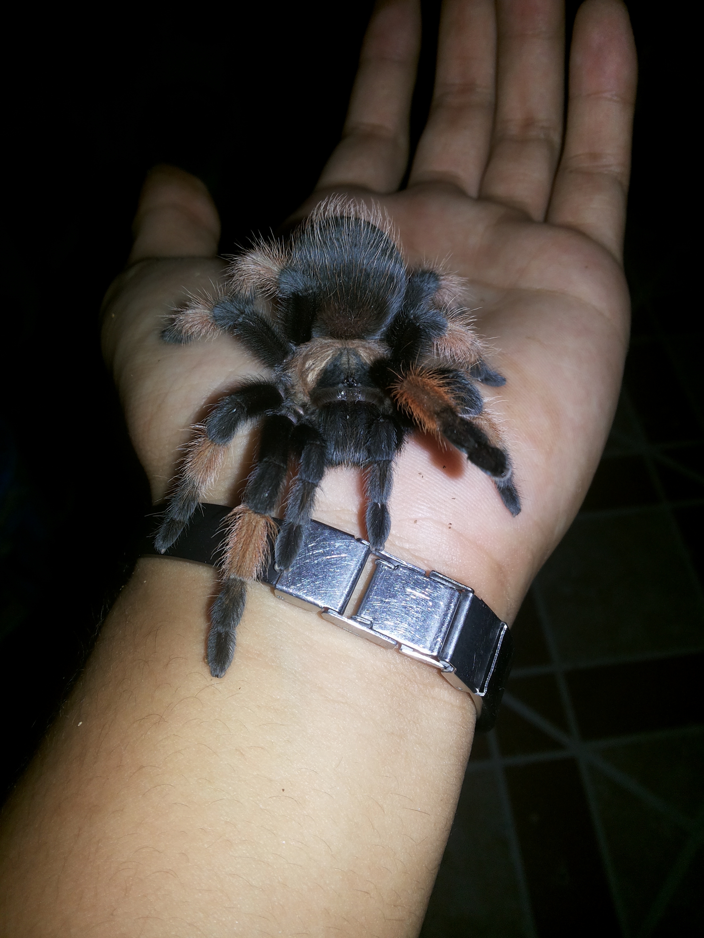 ♡♥♡♥♡ b.emilia