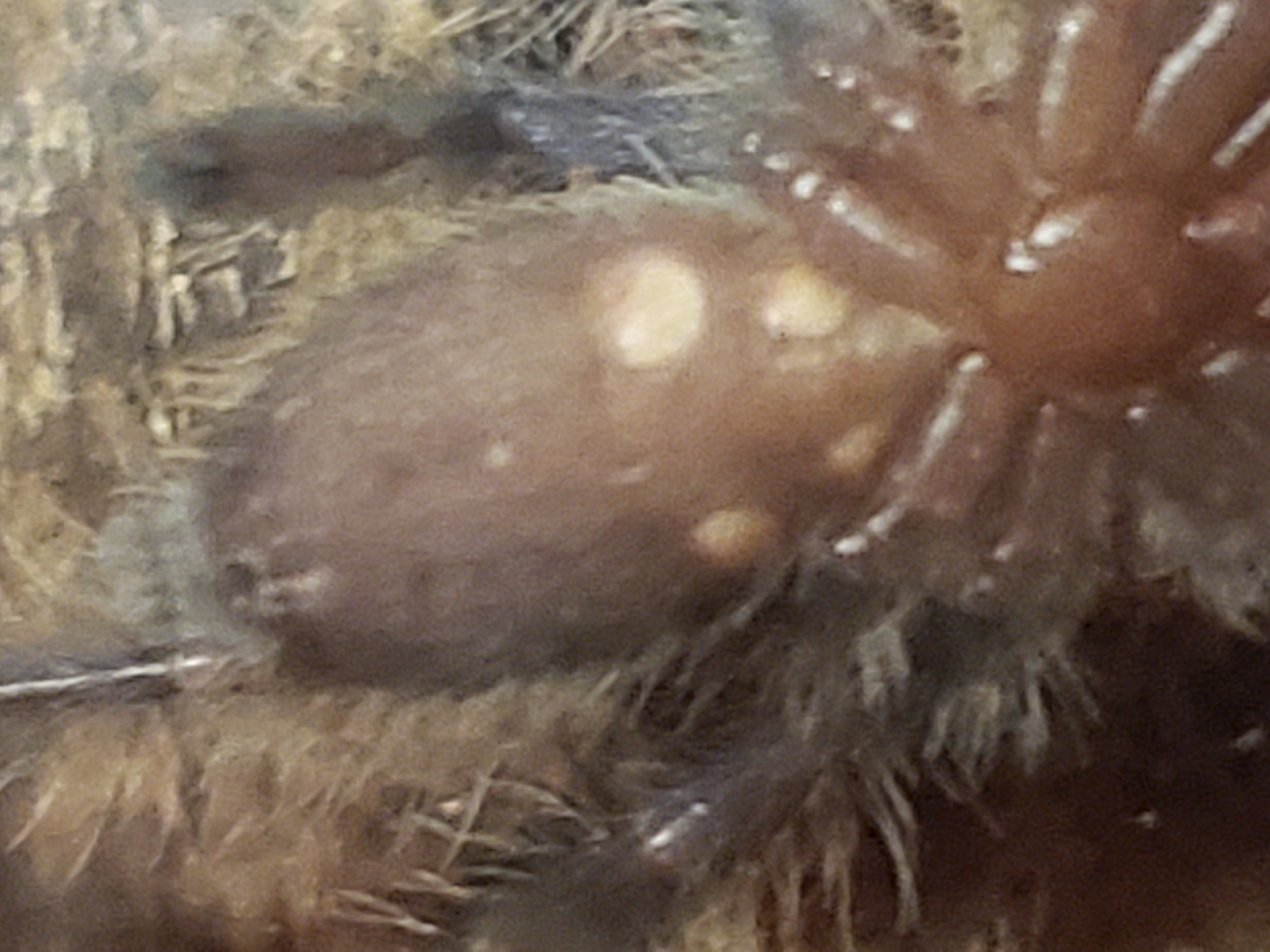 20200115_173525.jpg