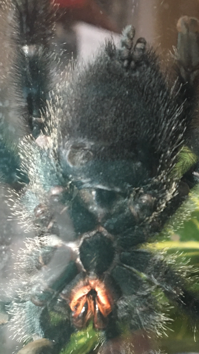 449E0624-C1CE-49EB-A975-BD78551E8EE3.png