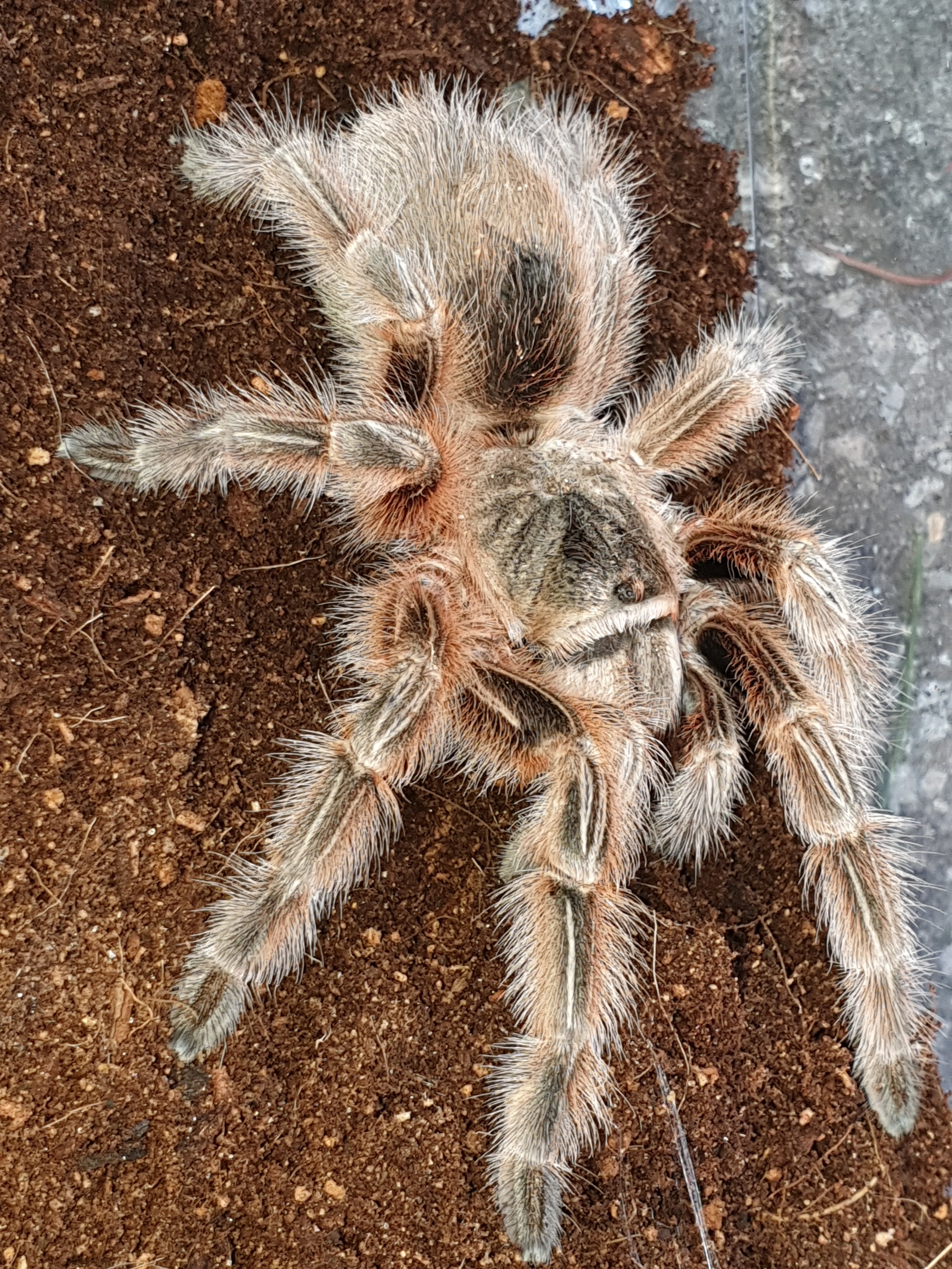 another new addition