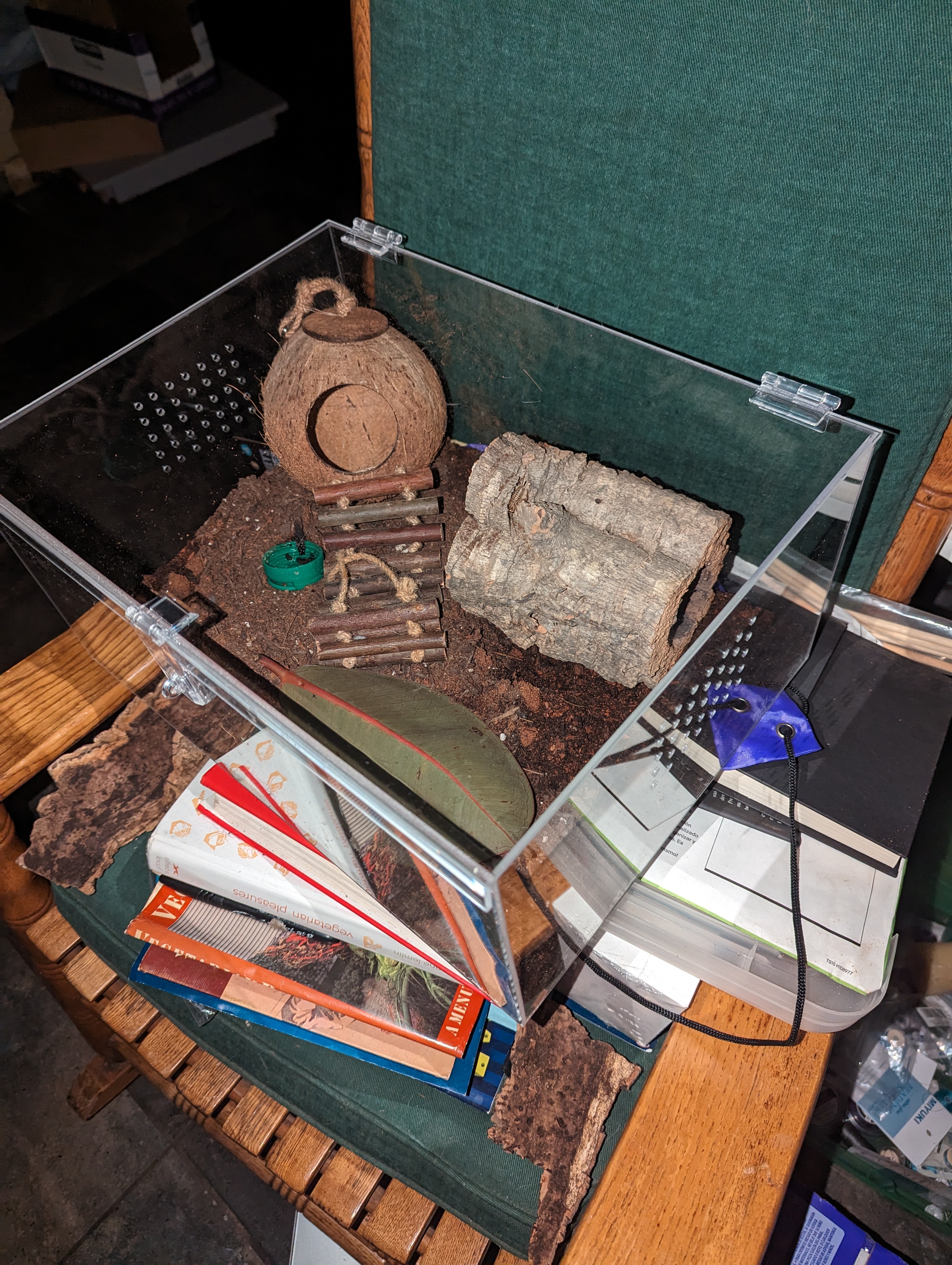 Arizona couch potato