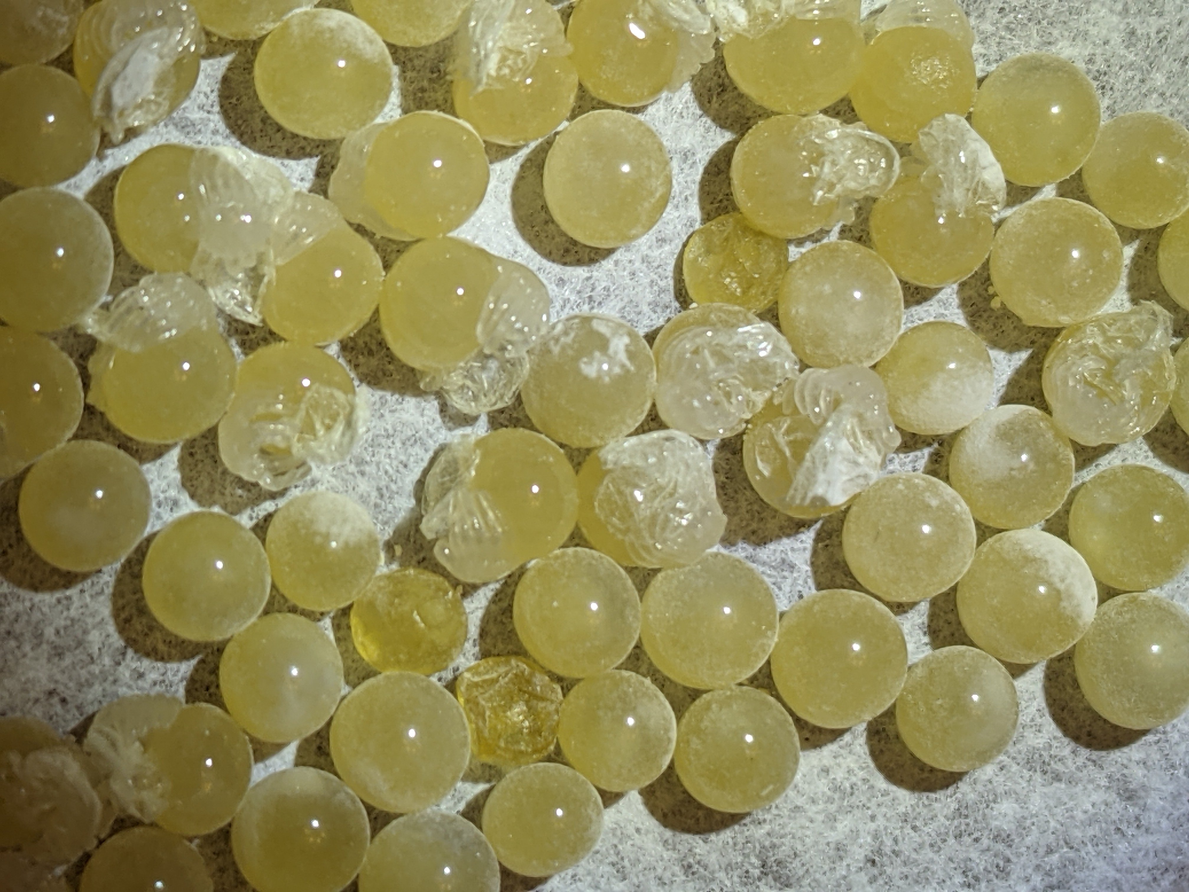 Becoming Eggs with Legs