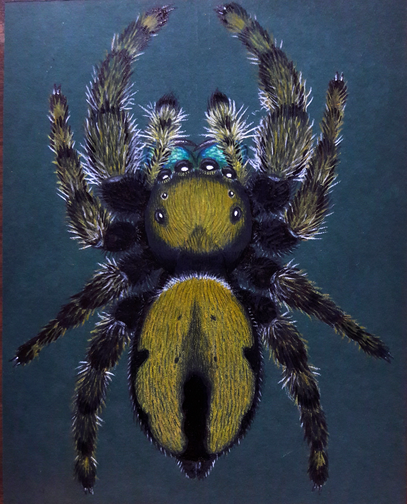 Colored pencils complete