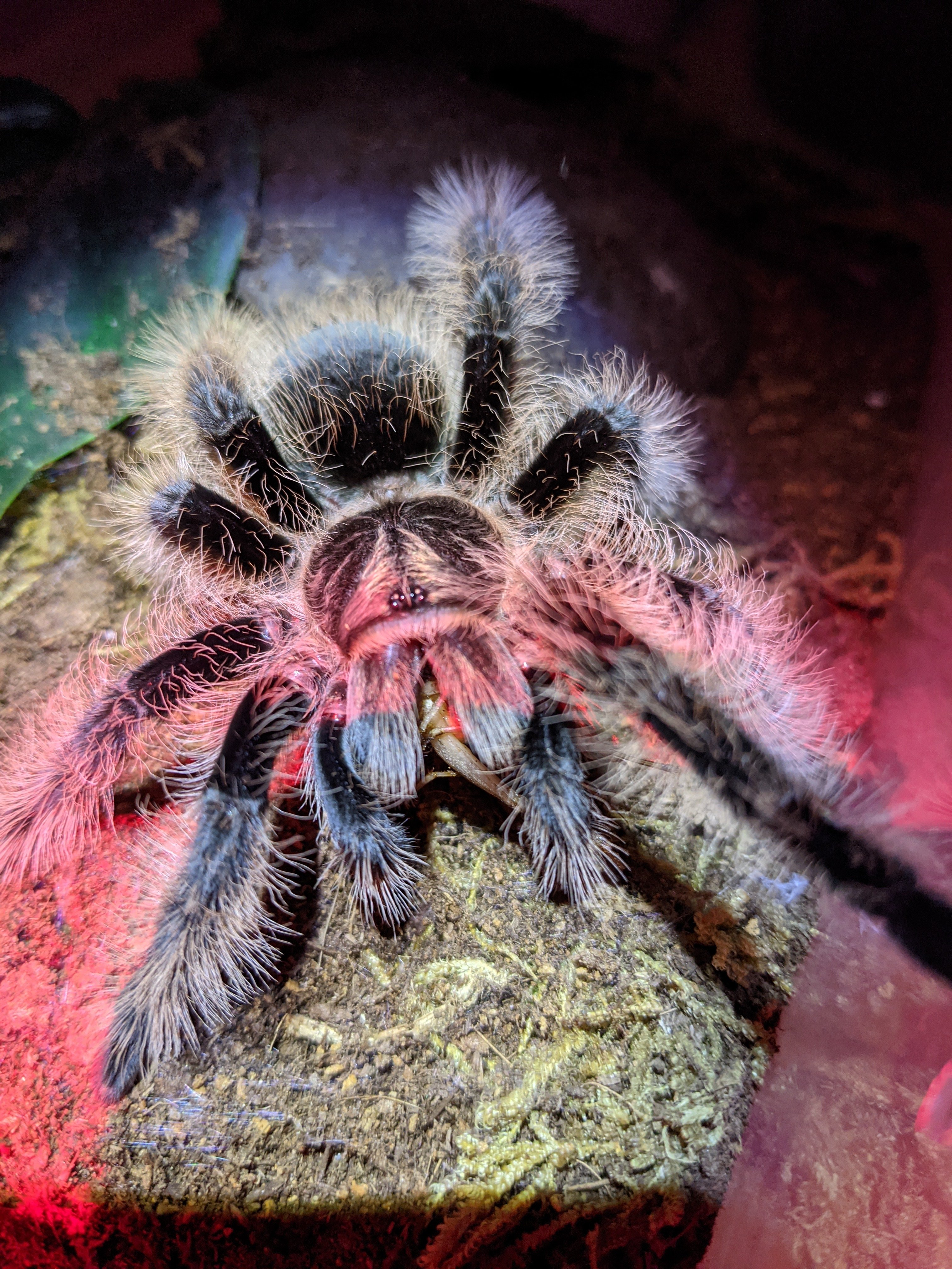 Curly hair just don't care