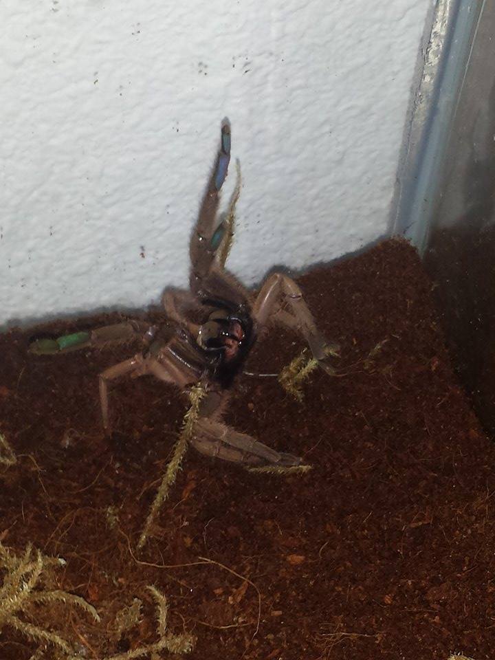 E . uatuman threat posture