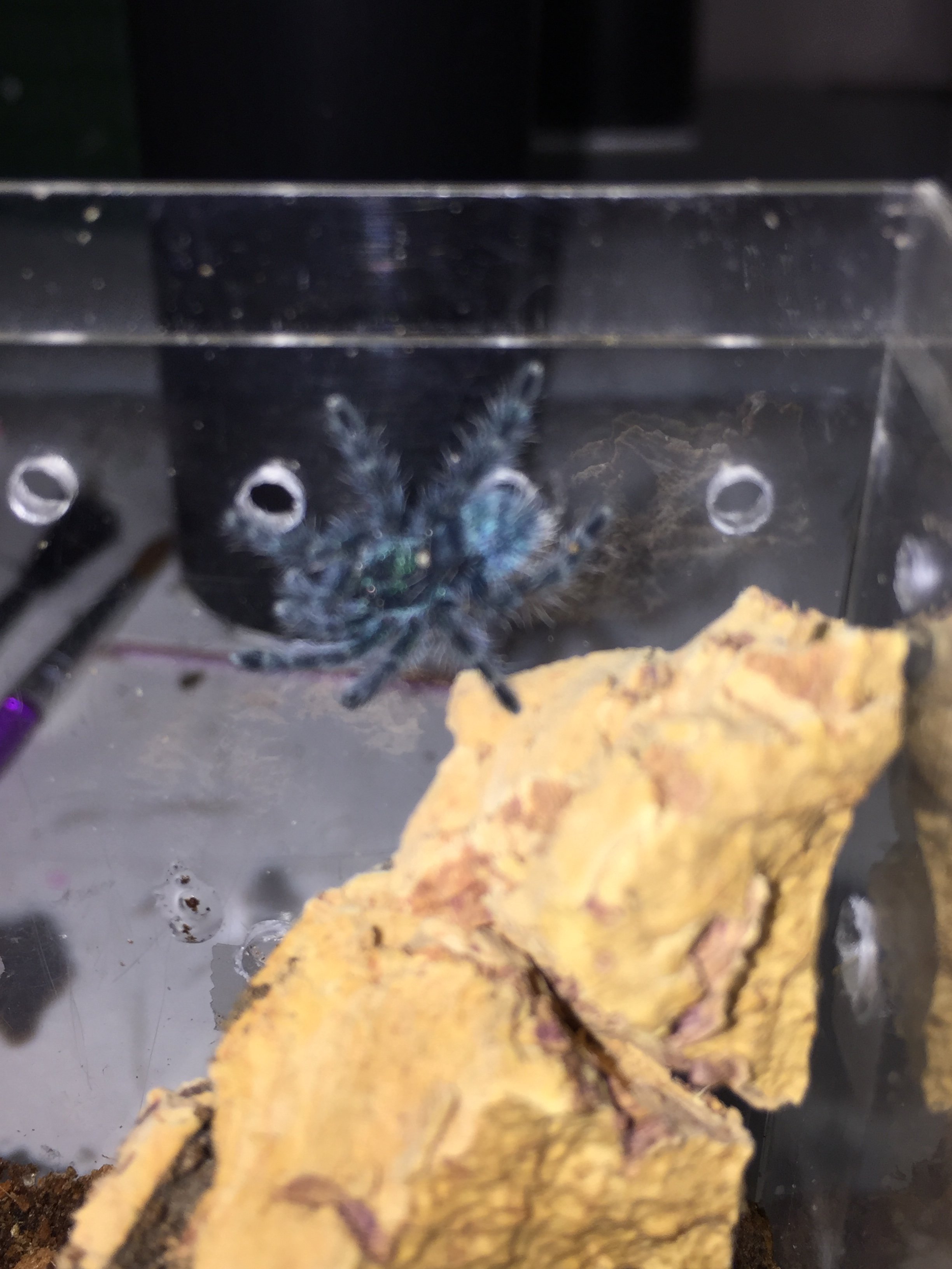 Exploring it's new home