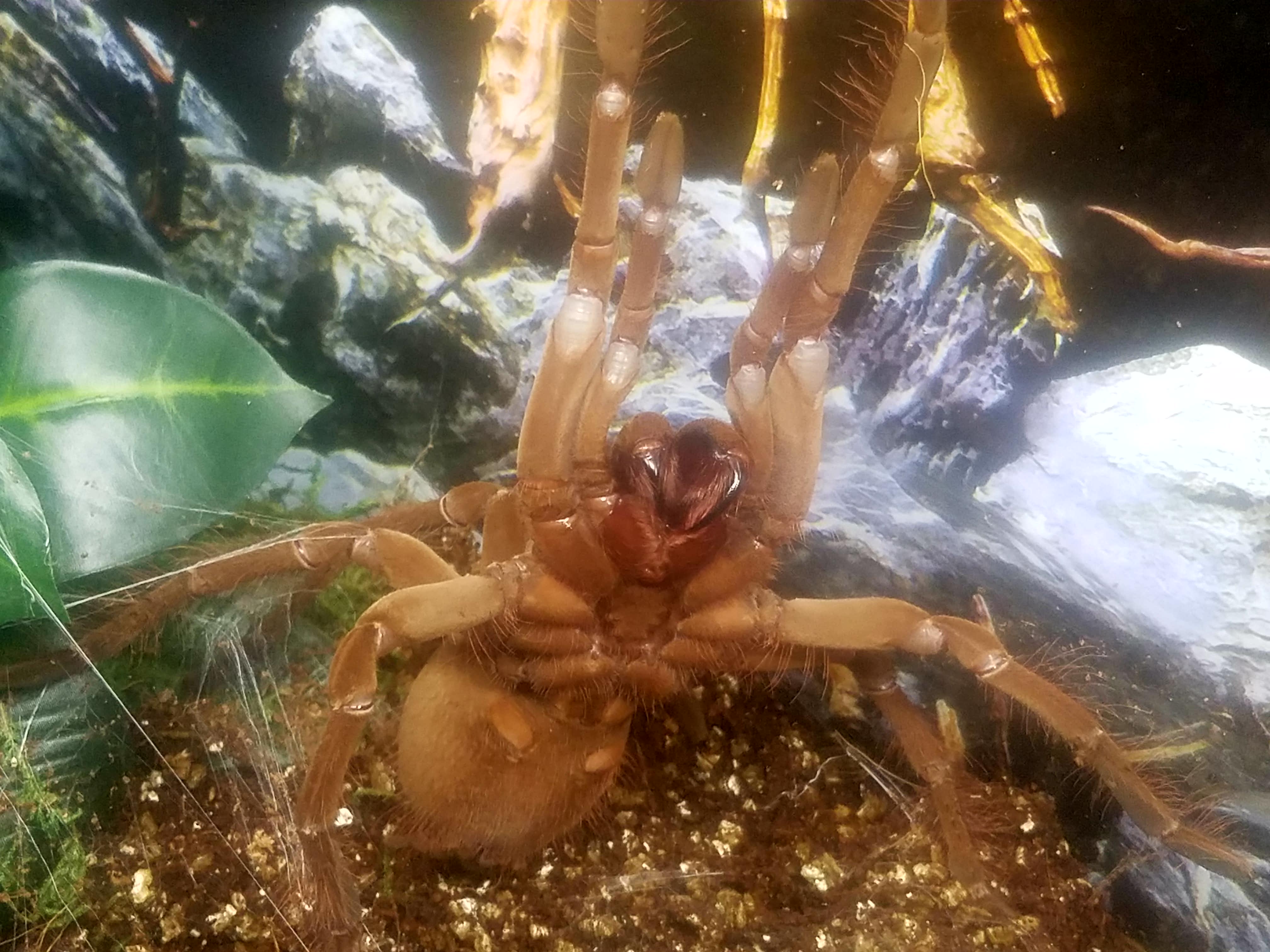 Get out of my room!!!