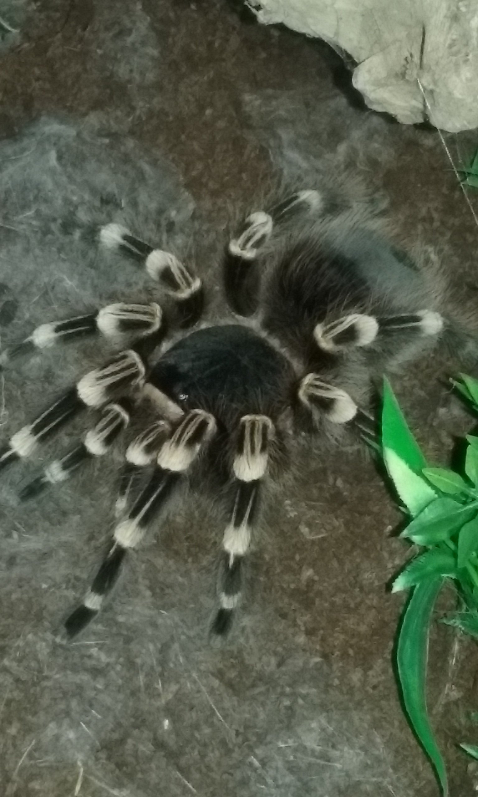 I am ready for my close up now