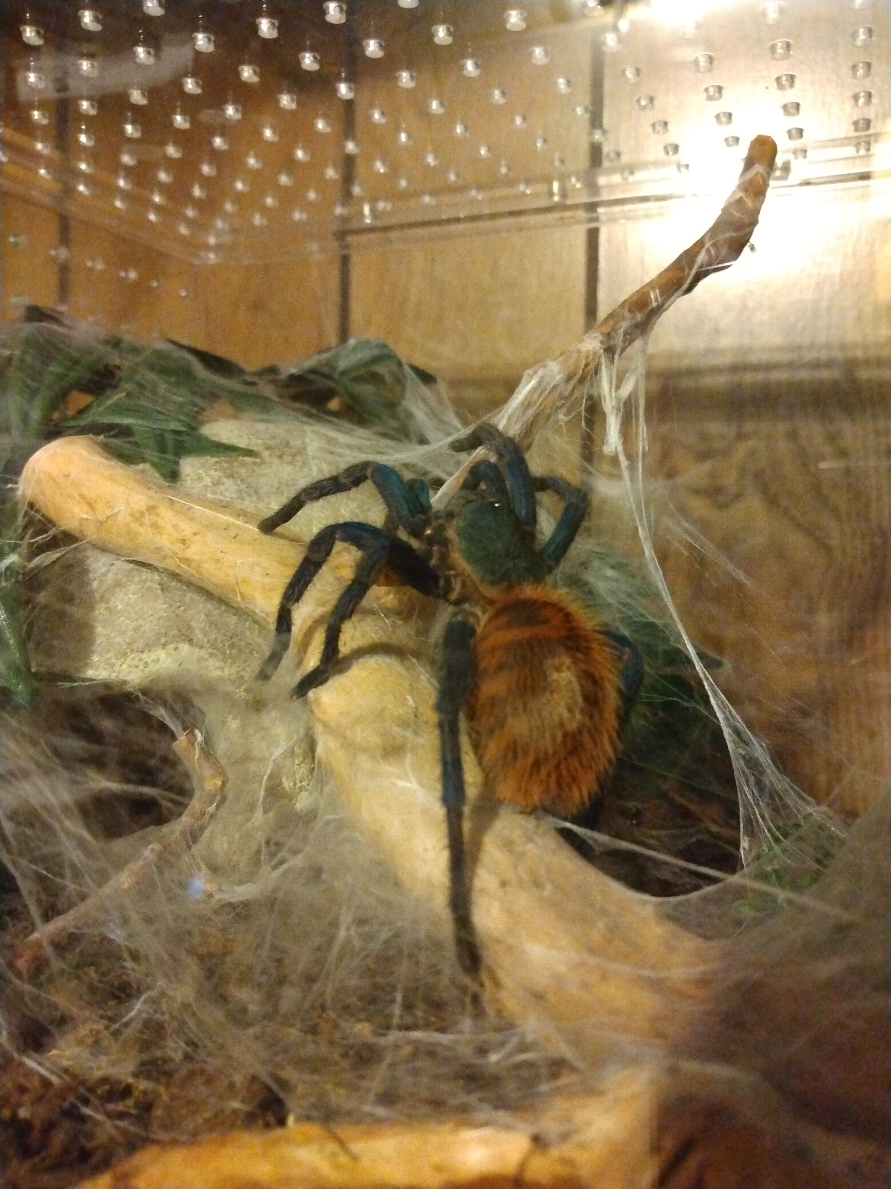 IMG_20220306_142108226 (1).jpg