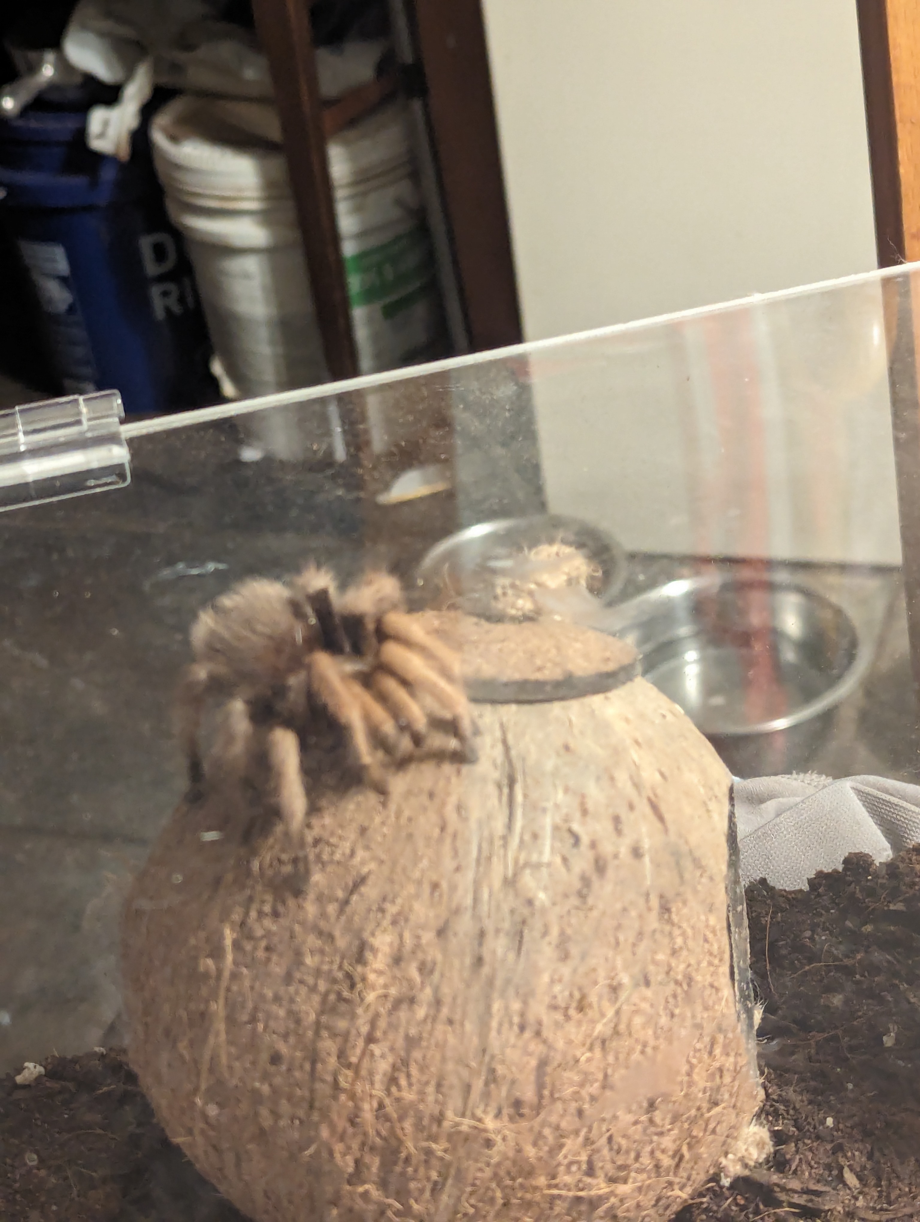 Jessica the Arizona blonde