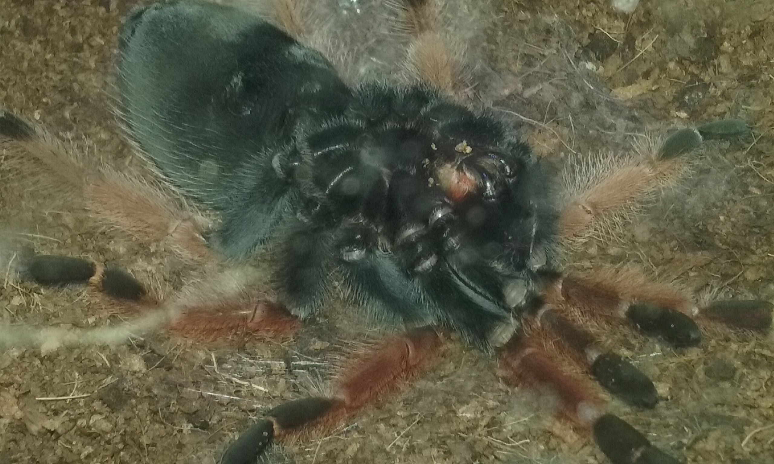 Just flipped over tonight