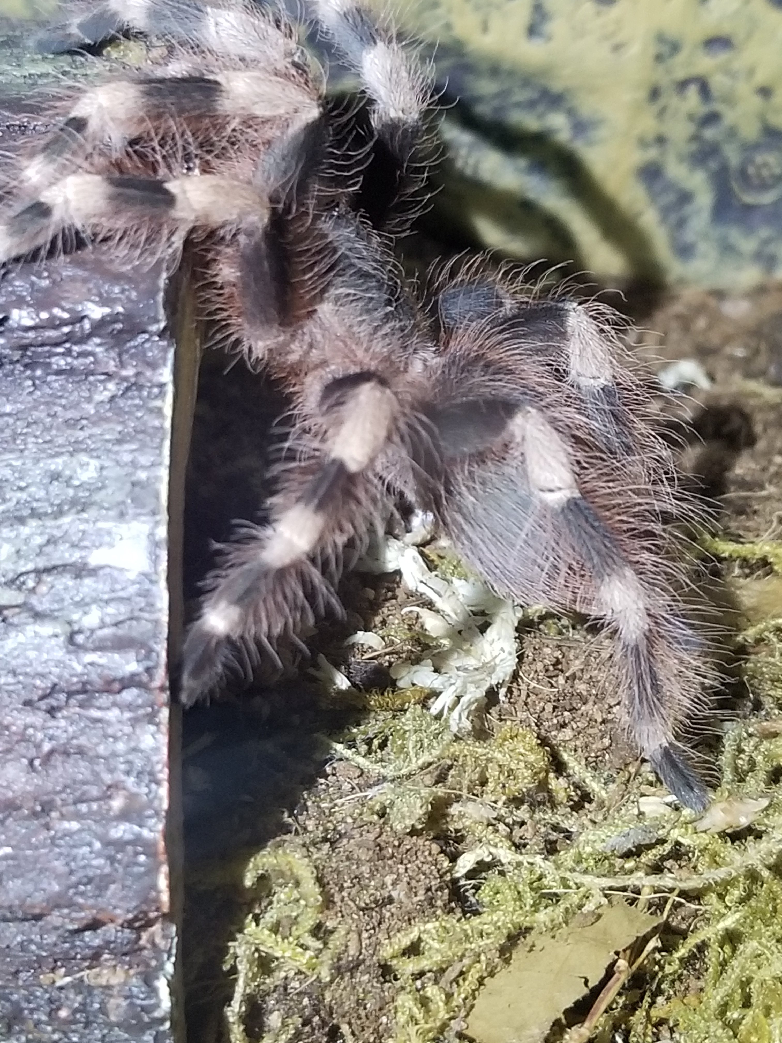 Let's hear it, what is this?