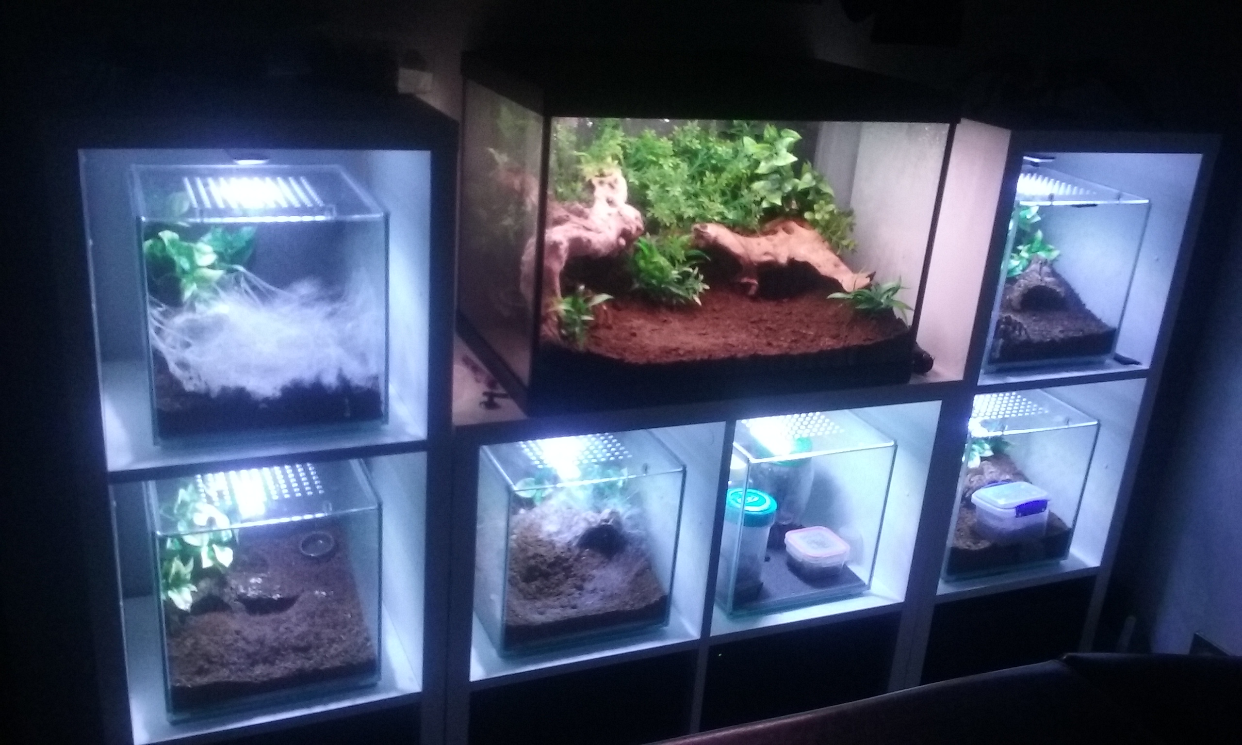 Morning has broken....