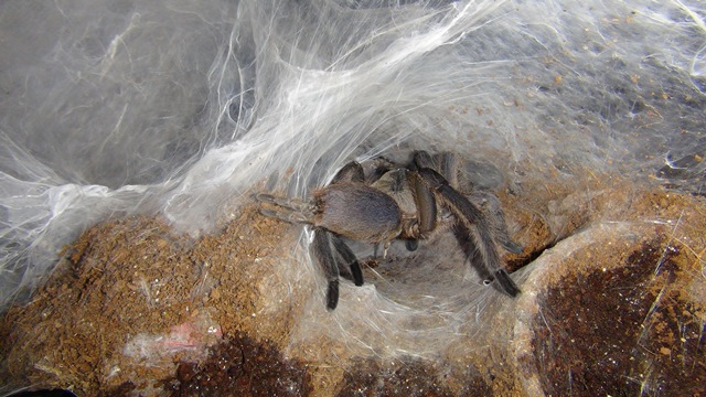 Myrtle doing happy dance