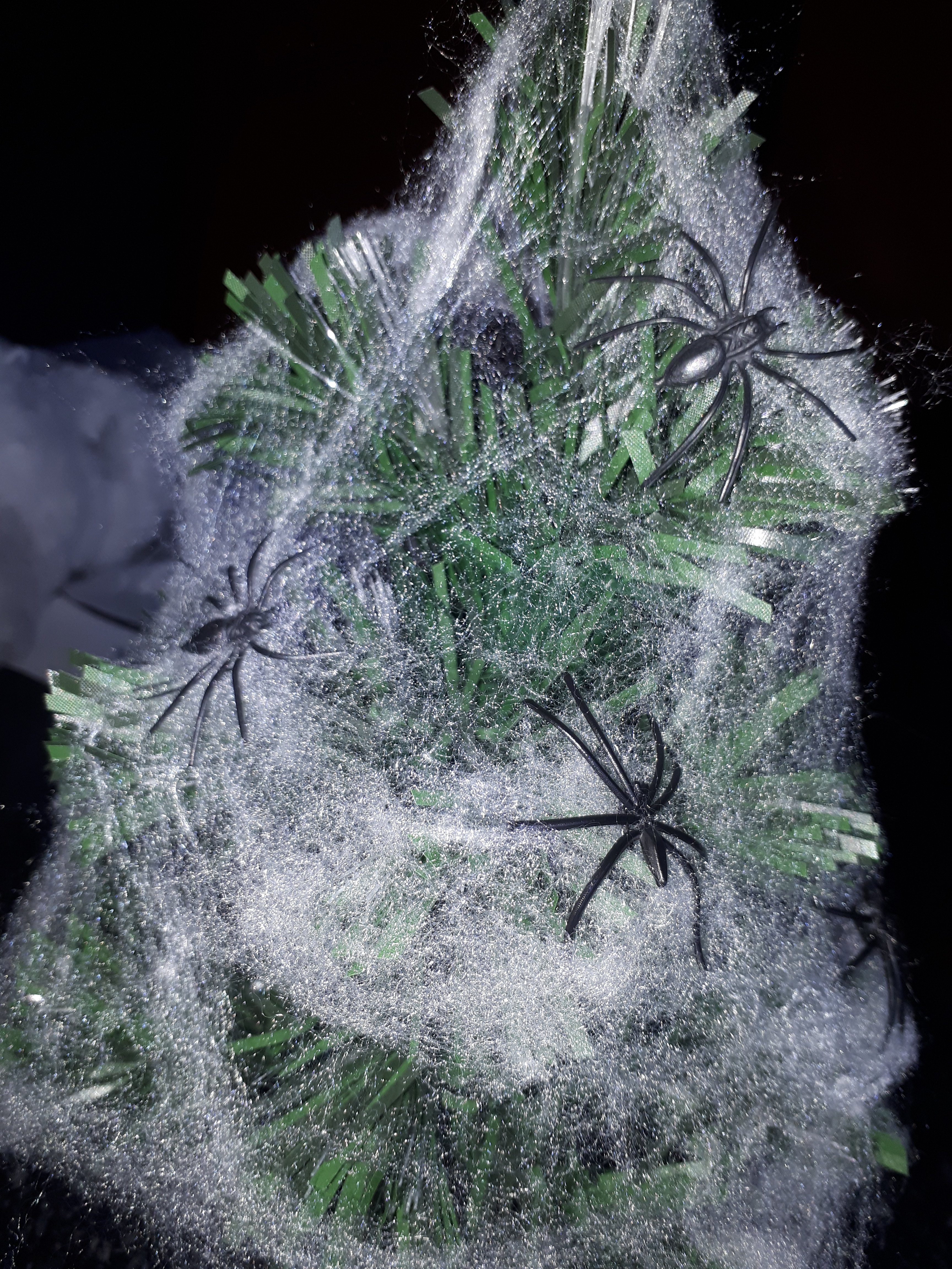 New Arboreal species discovered.