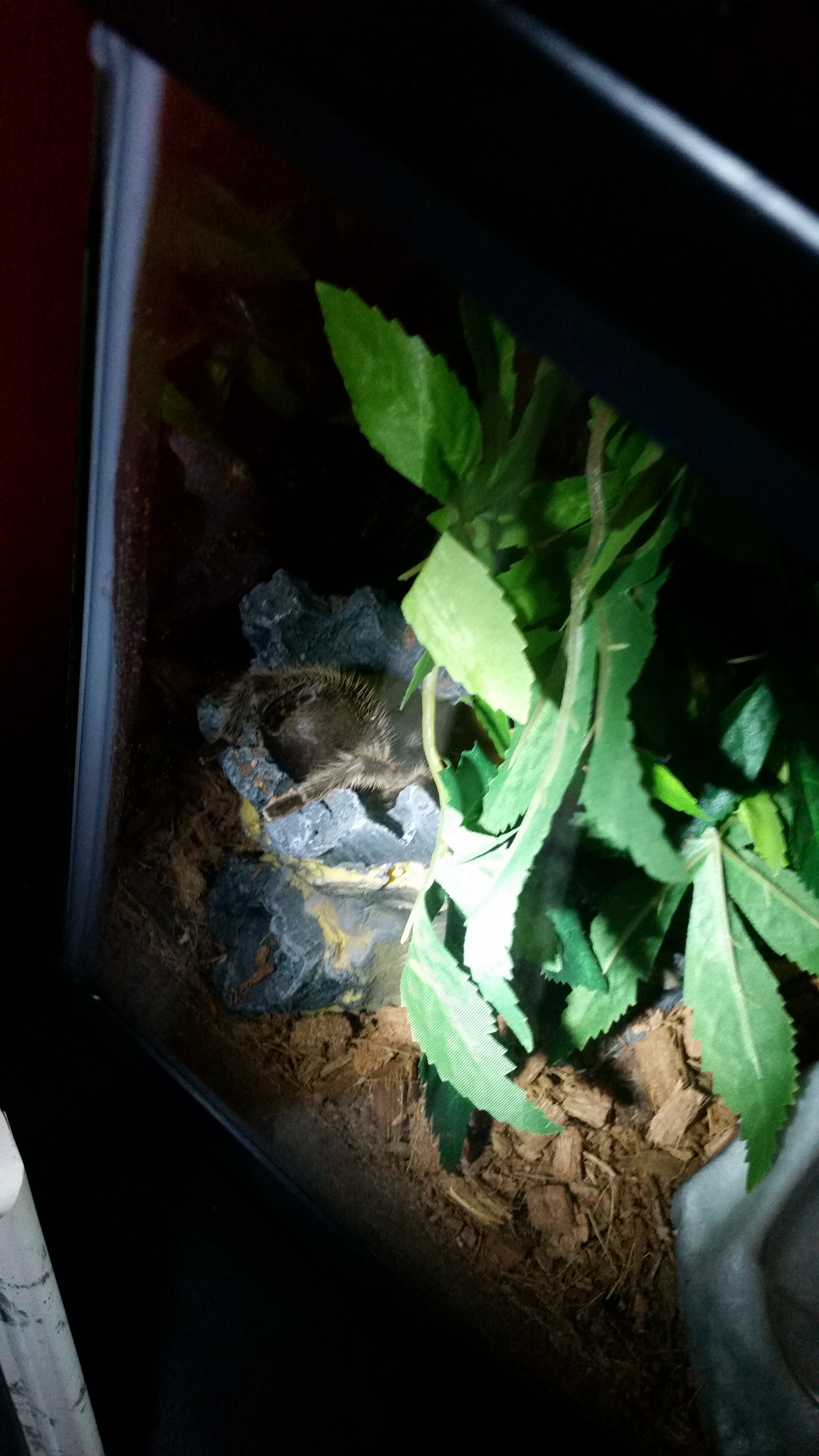 Nice bum where ya from? ;)