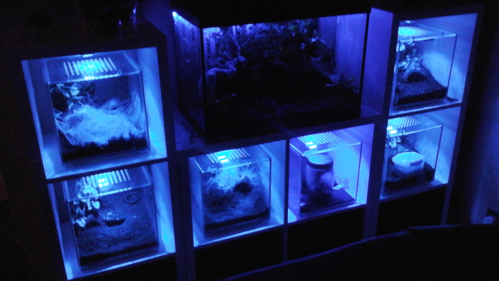 Night night my pretty