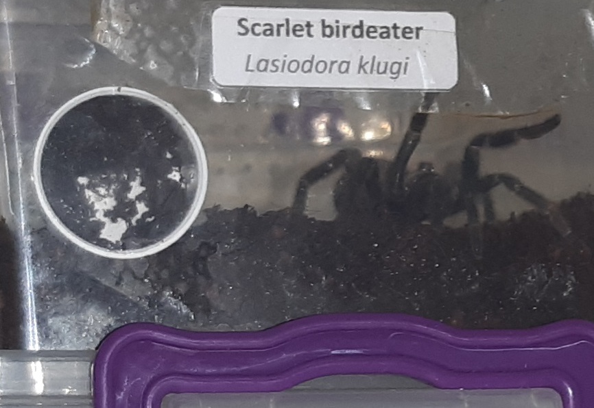 Now what is this supposed to mean?