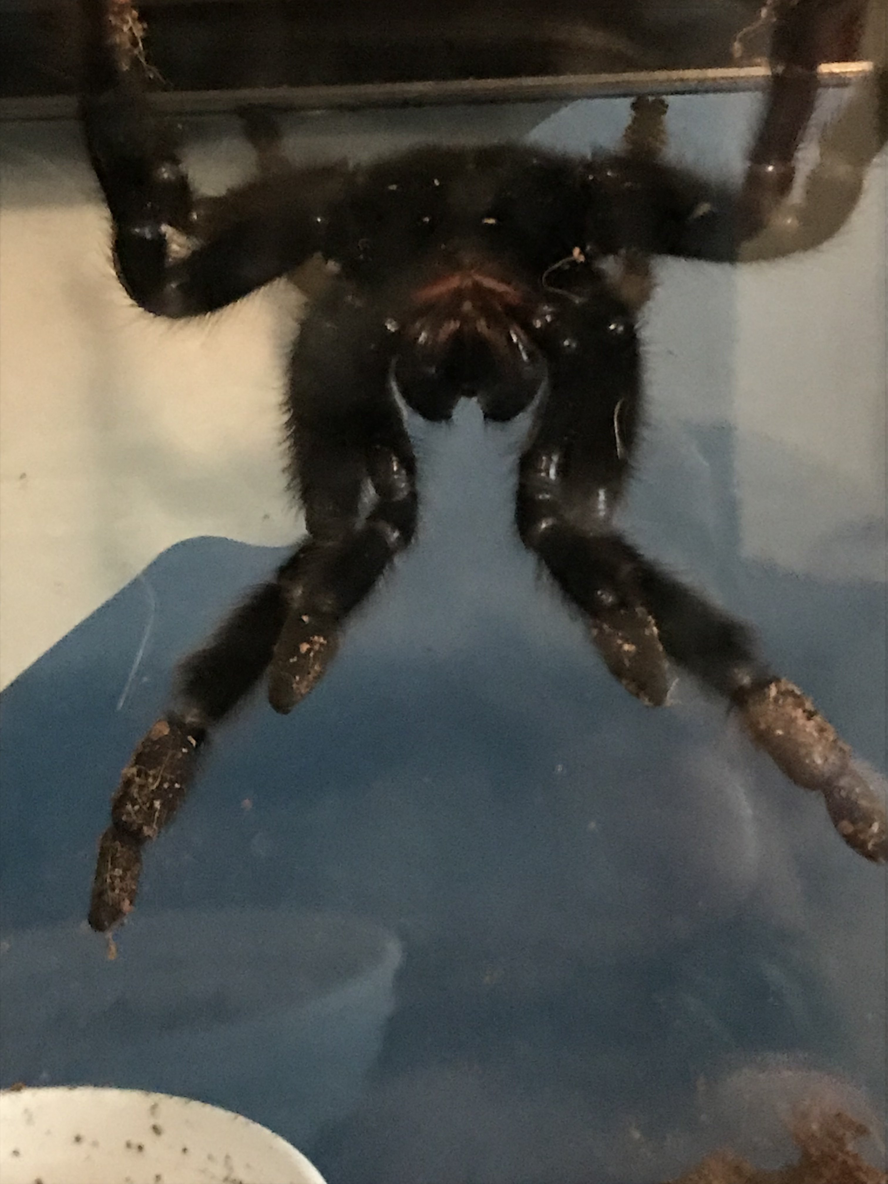 Oh come on what now!?