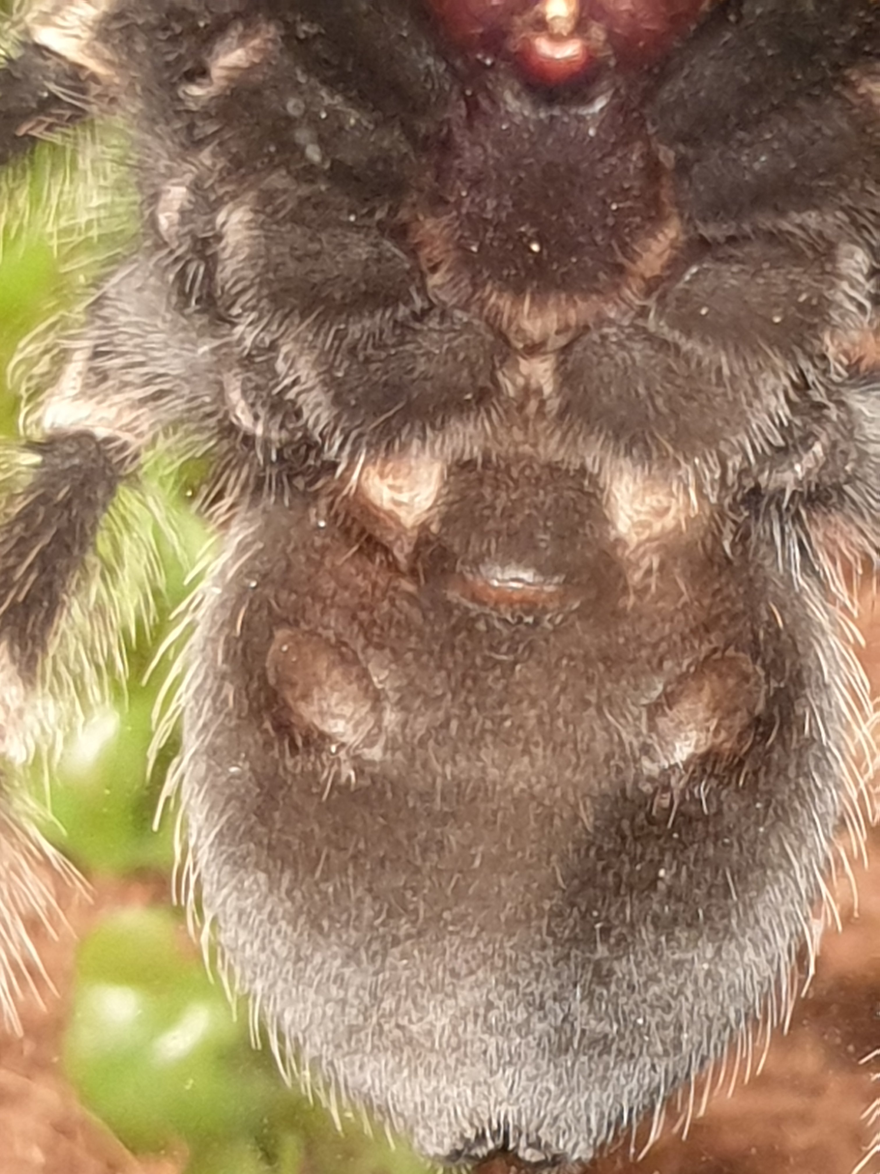 One for all you vent addicts ;)