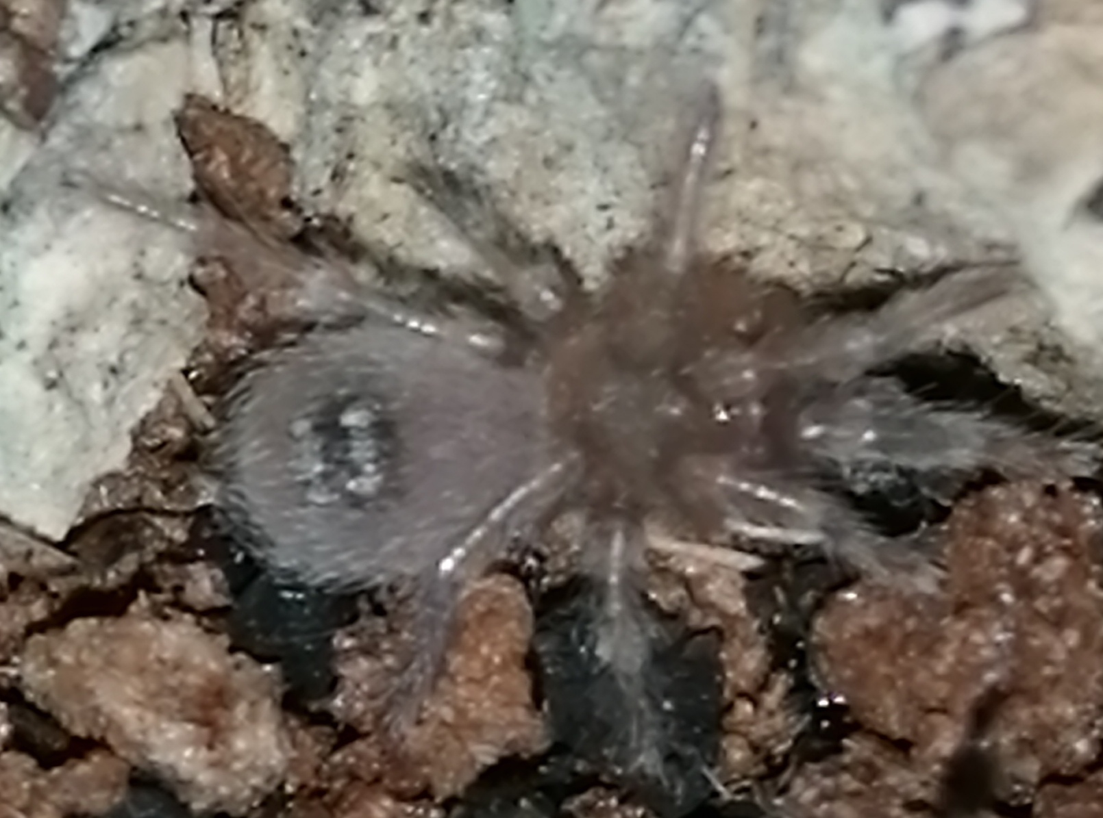 Room for another tiny one... :-)