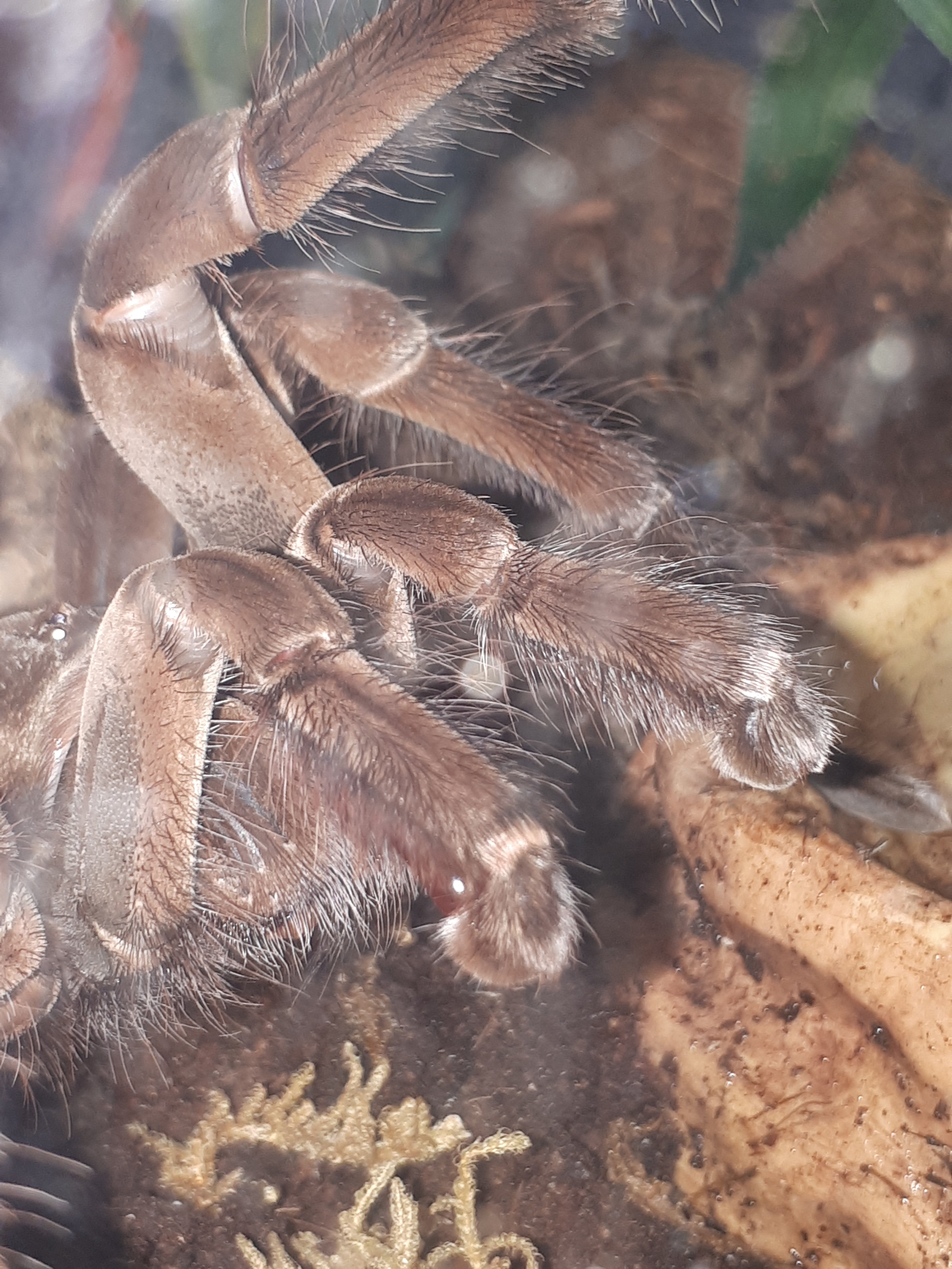 sexy stirmi time tonight