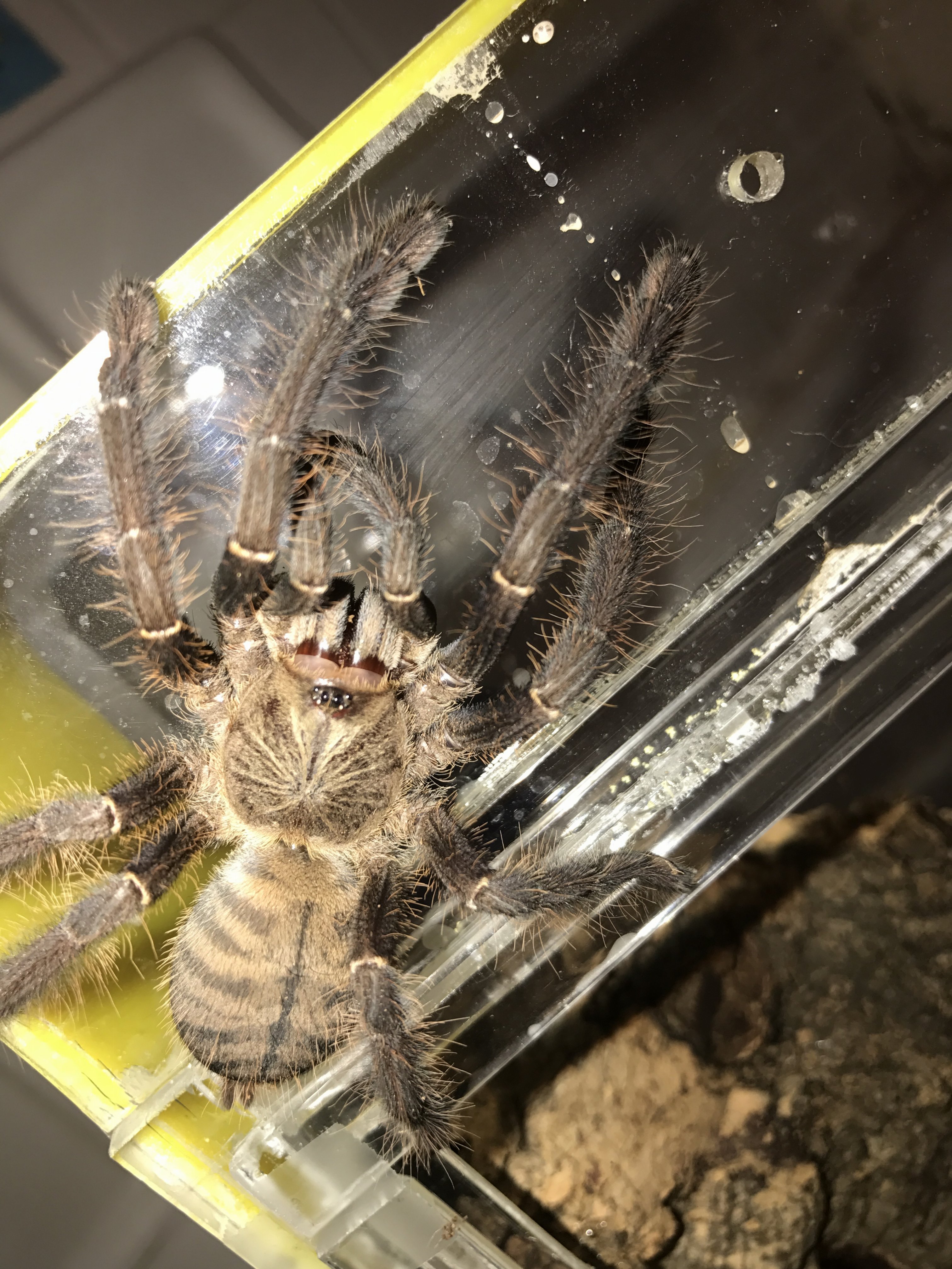 Shouldn't have let me out, hahahaha