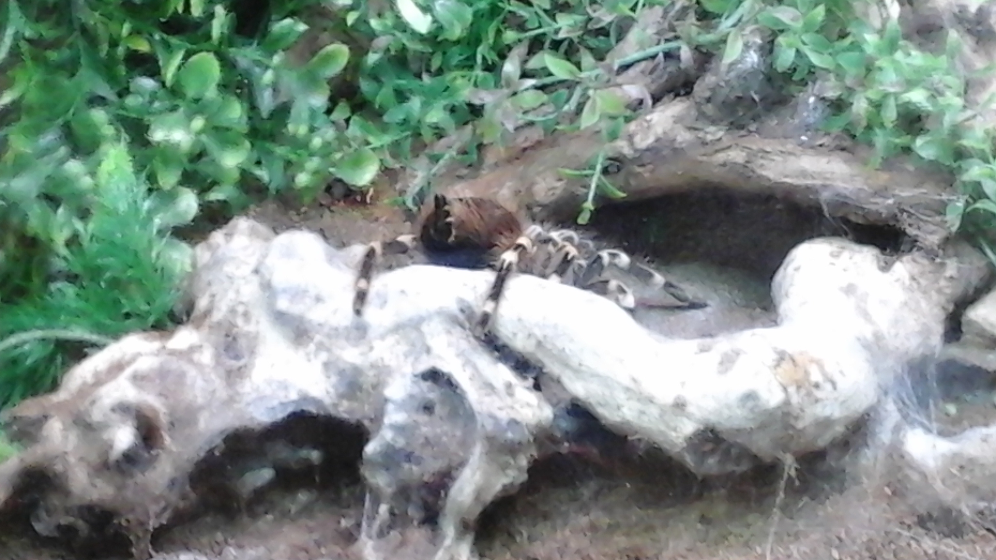 Stop taking photos of my butt!