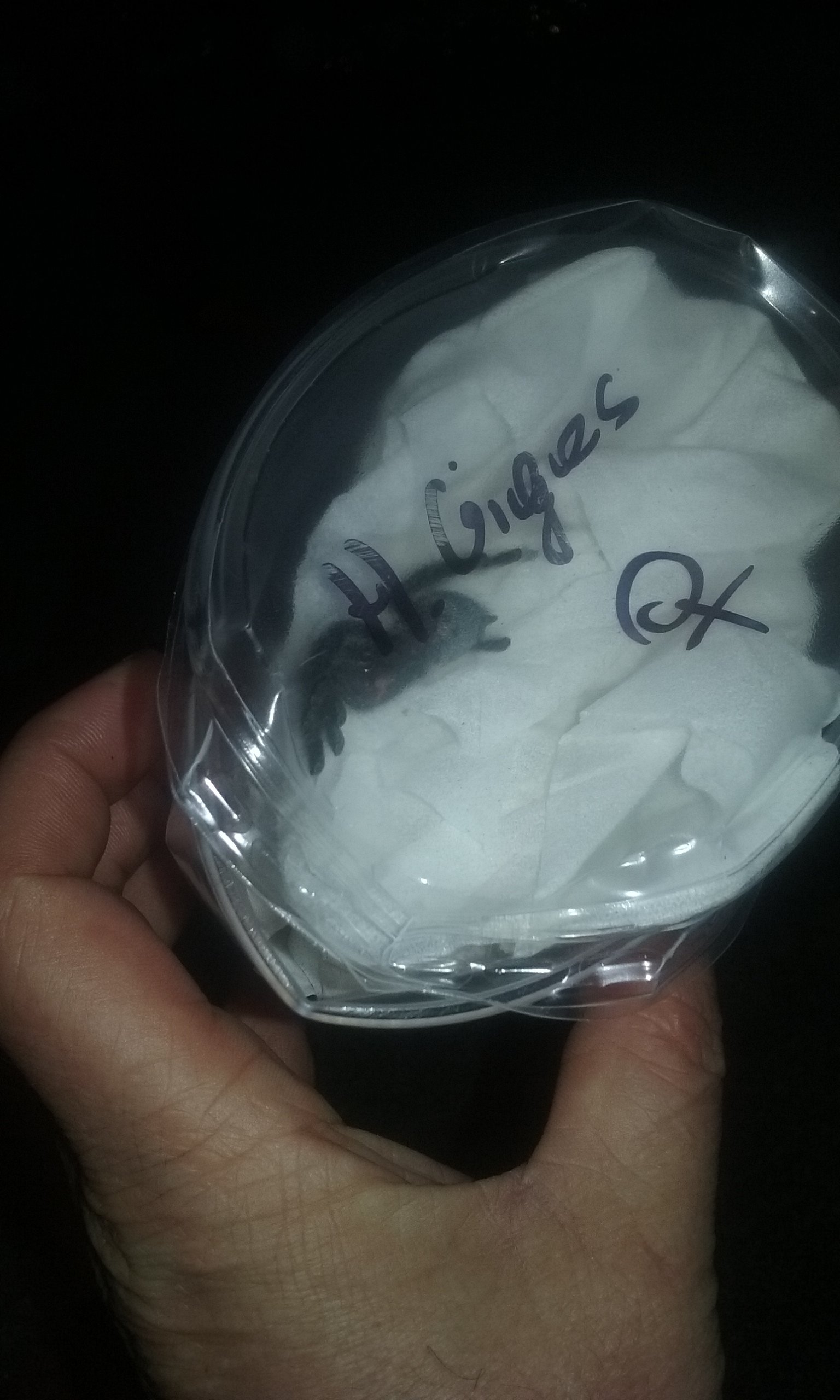 The time you start to panic!