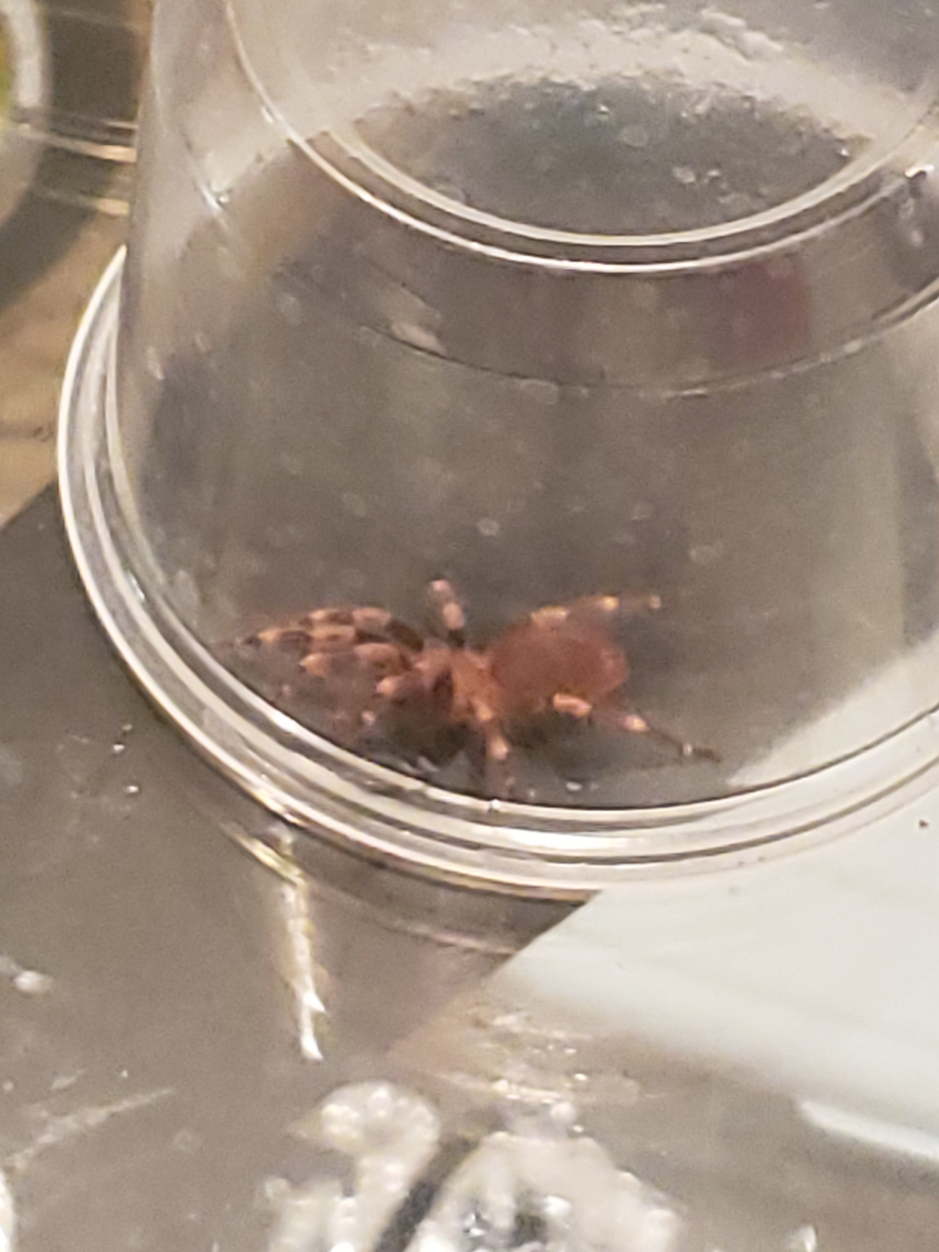 Thought u were fast,  I am faster!!!!