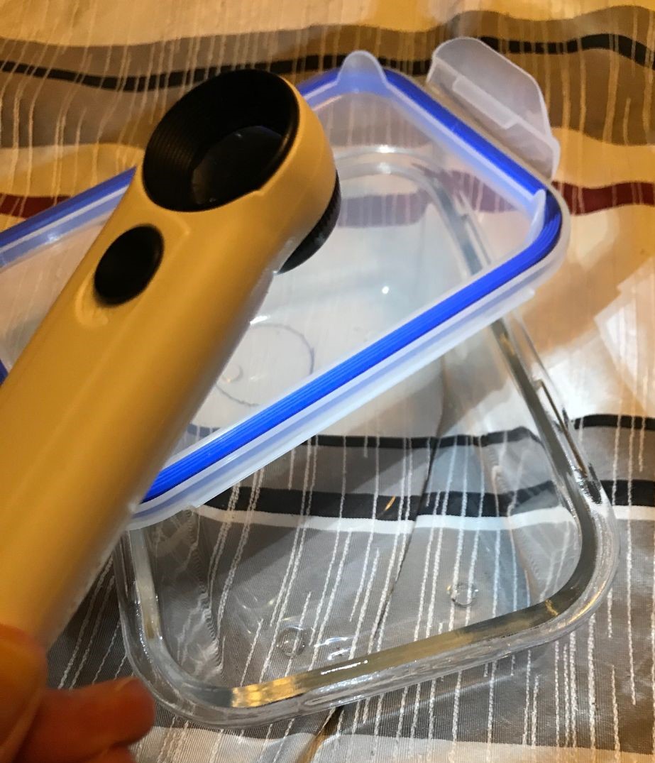 Tools for ventral sexing