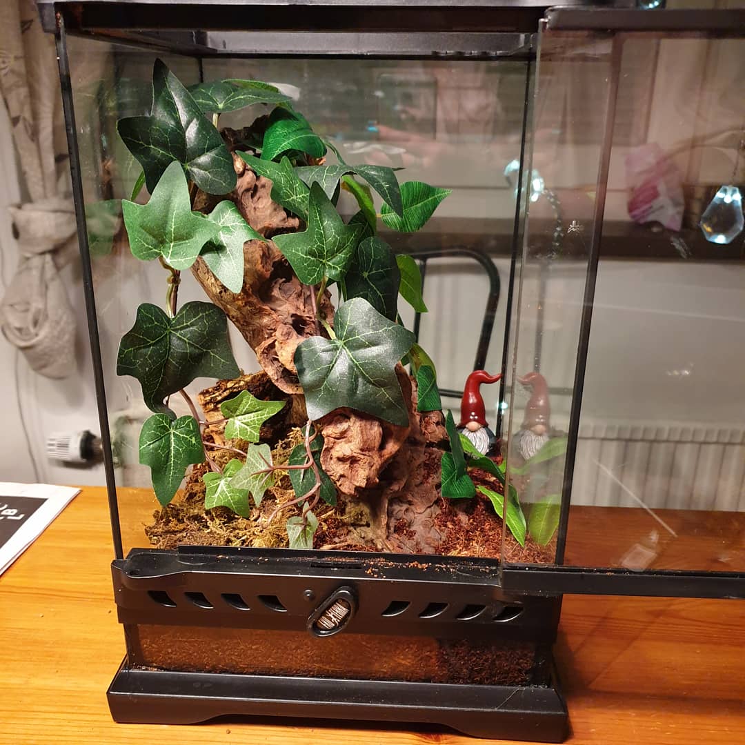 Tootsie's new enclosure