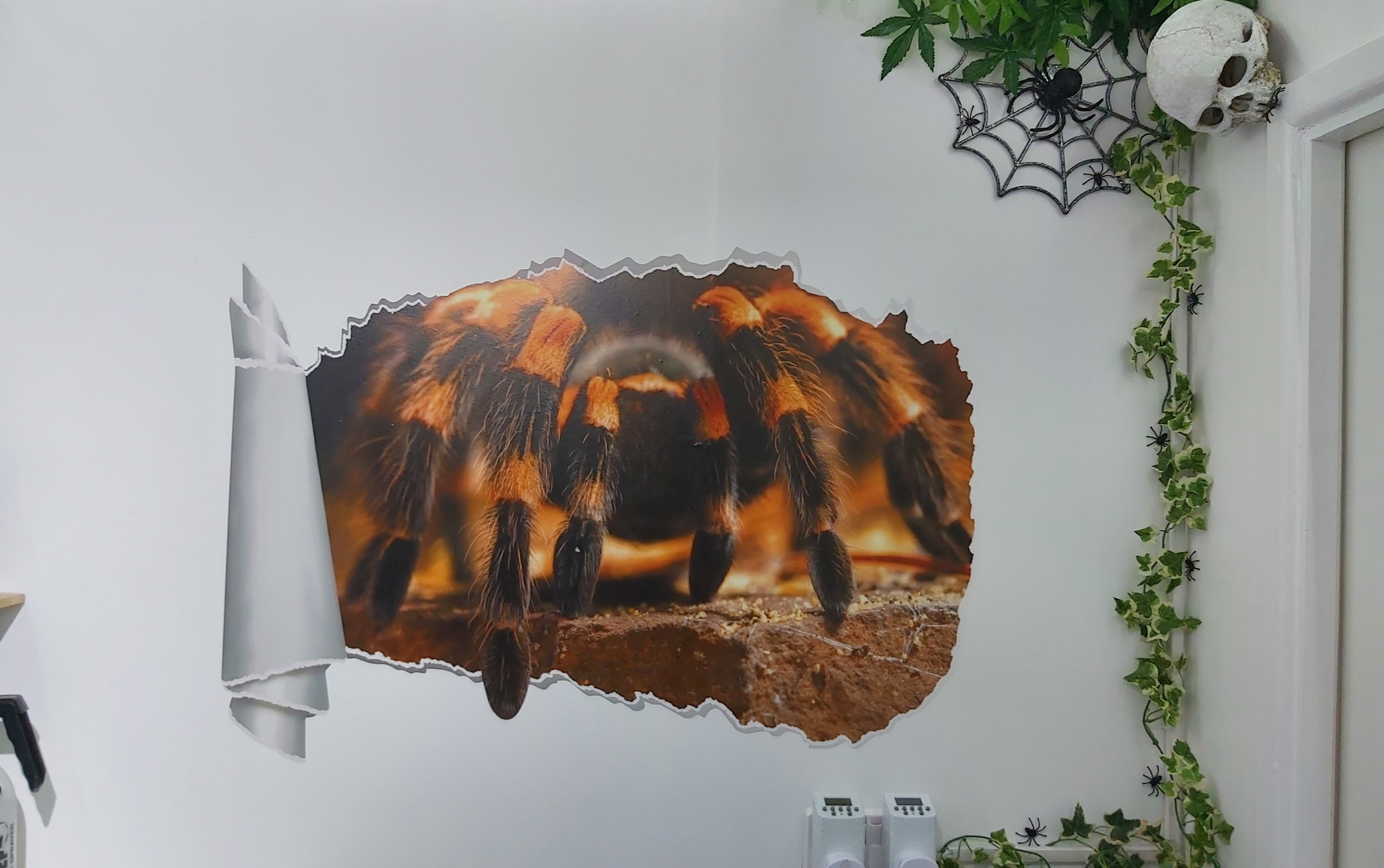 wall art in place ♡