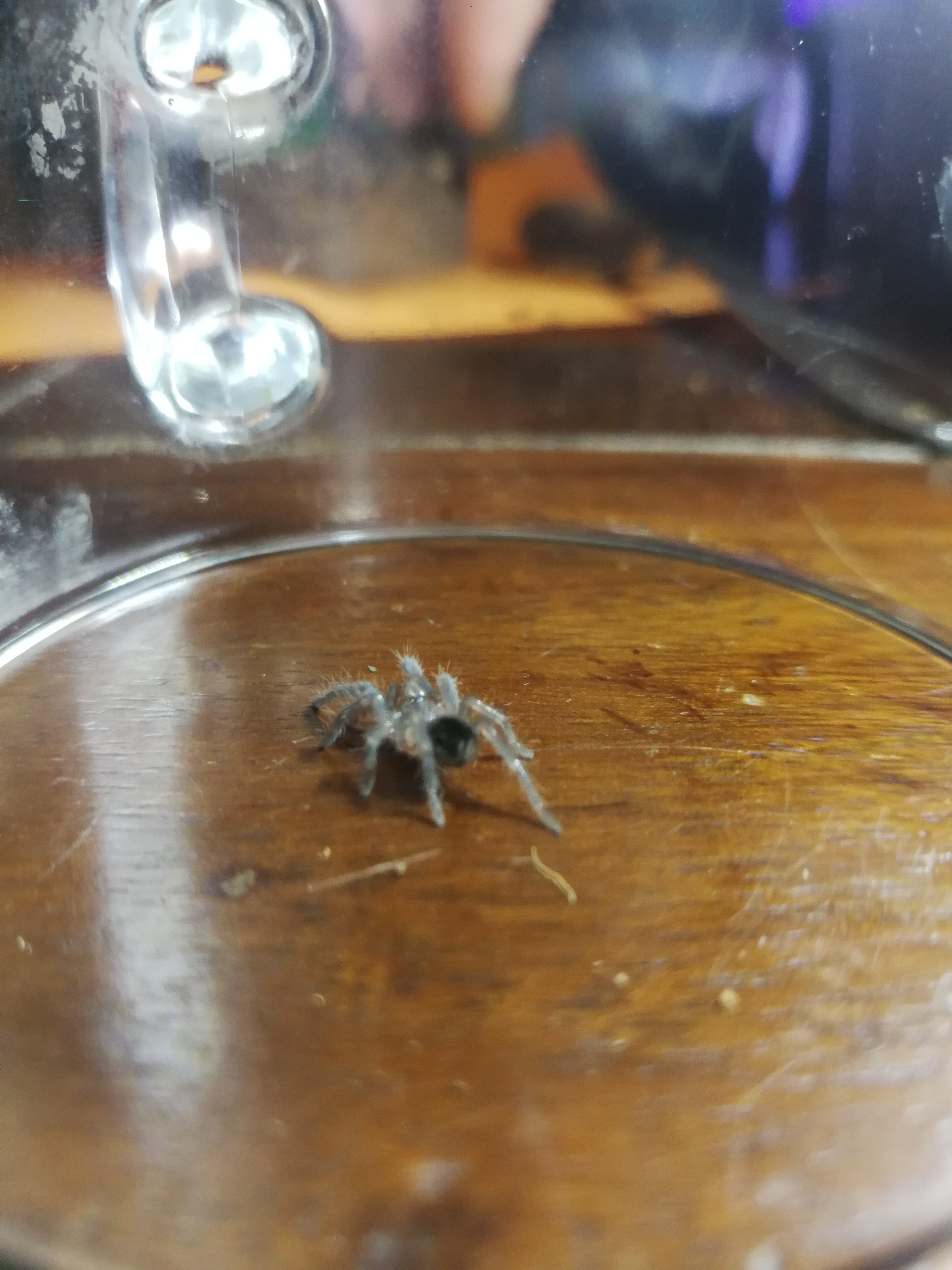 When your old world sling bolts.