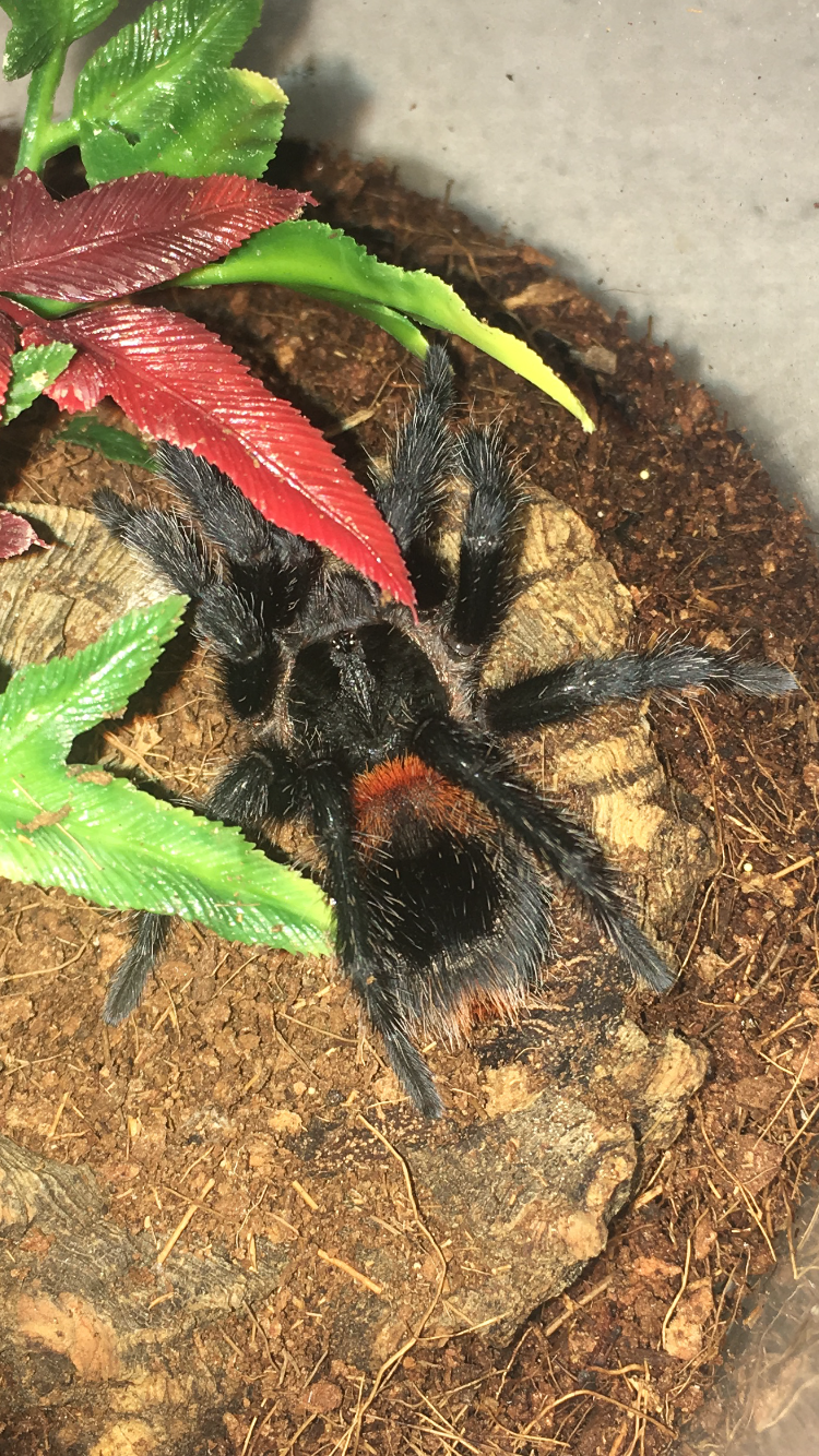 Who's a pretty boy then? :D