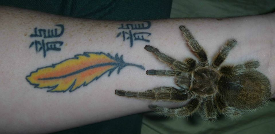 Wrist spider.