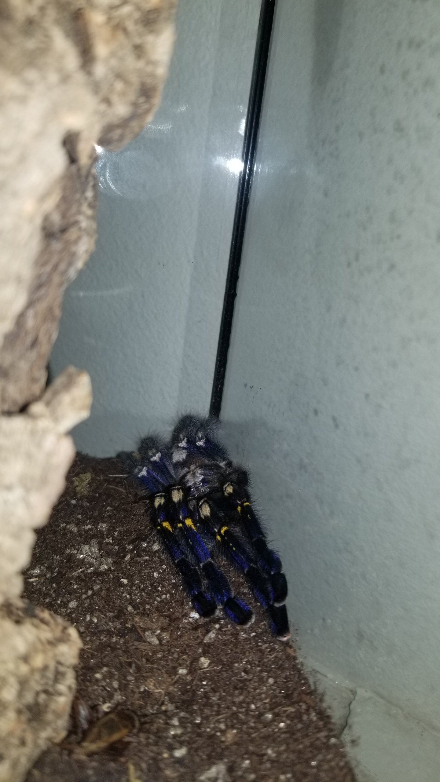 You know what it is ;)