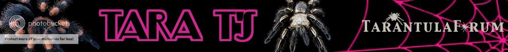 TaraTsSig_zpsd35dd883.jpg