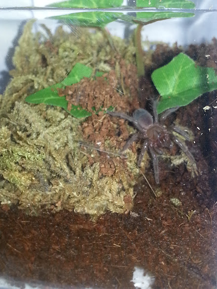 uJ7h2K3J13xPAs5S5mXkwZWMjAp9p8nK3K-bqy01AYs=w441-h587-no