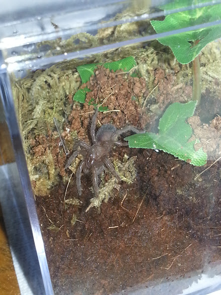 0cb6cOvzeBmiCQwMu2HaF-hybu-eITgIHXAZVB1JZZM=w441-h587-no