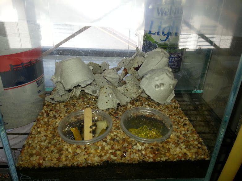 Ar7Q6FZW8O3_YPPSypfROd1nfZghDTddflwySm_o-uo=w783-h587-no