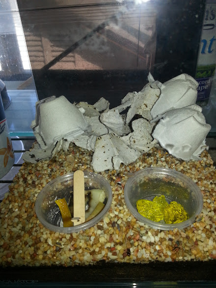 gMvOJ8V-4vmZkJ-nvCoZmKZxRPOIZR0t5wOG3vAloAk=w441-h587-no