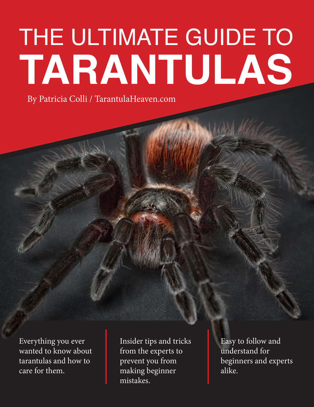 www.tarantulaheaven.com